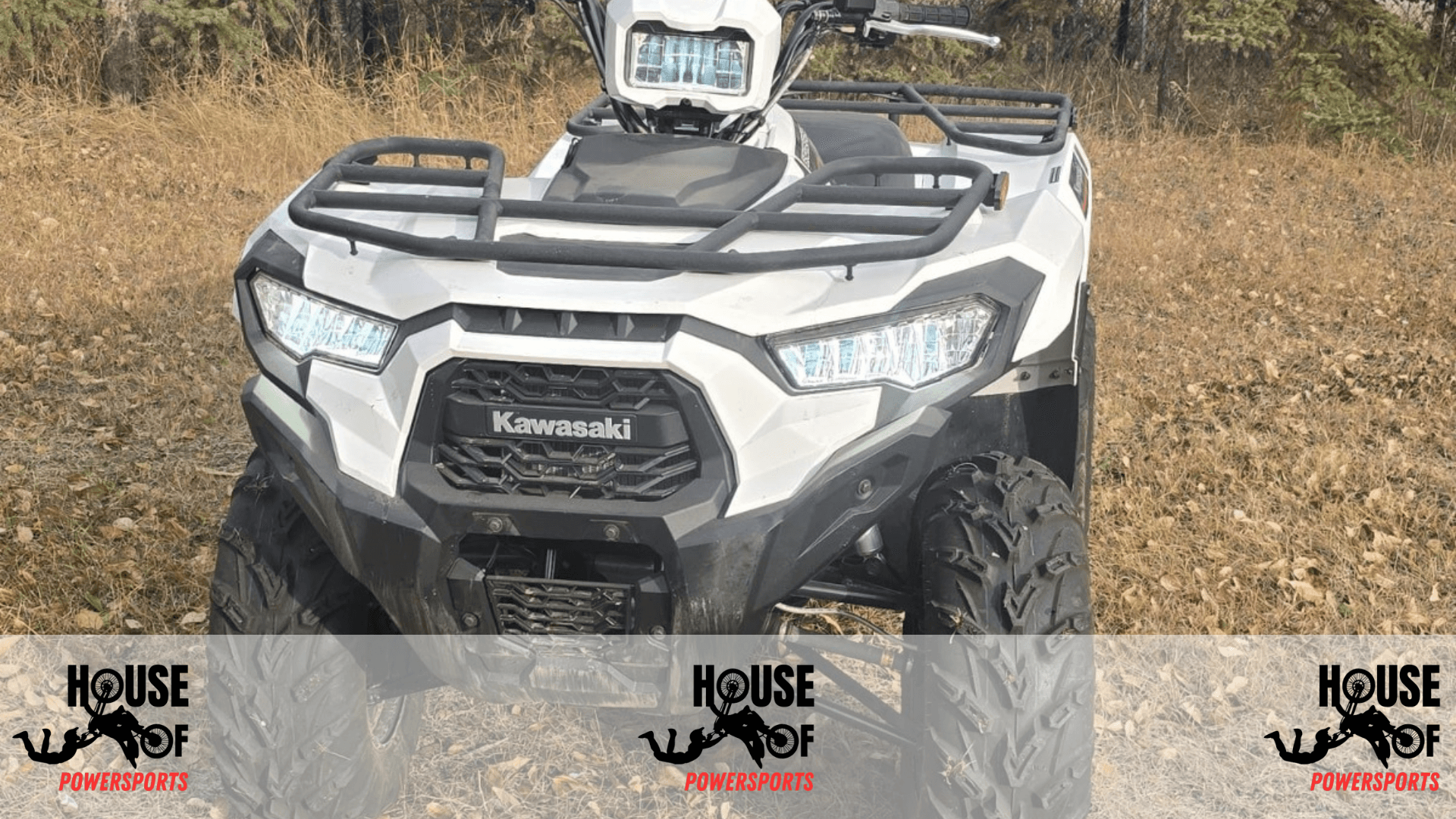 2025 KAWASAKI BRUTE FORCE 450 - Image 5